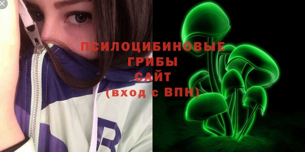 соль ск Алексеевка