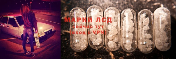 ГАЛЛЮЦИНОГЕННЫЕ ГРИБЫ Рославль