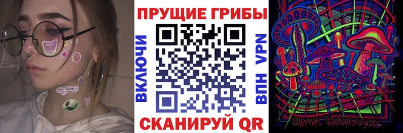 Псилоцибиновые грибы Psilocybe hydra зеркало Емва